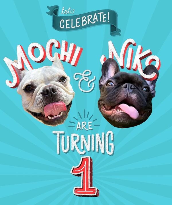 Illustrated birthday invitation for two French bulldogs, Mochi and Niko